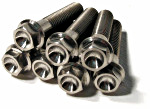 Ti Hex Flange Bolts
